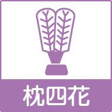 枕四花